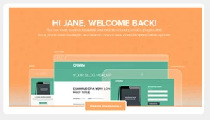 Lead generation: 5 semplici trucchi per ottimizzare il tuo sito web Come appare la homepage al cliente