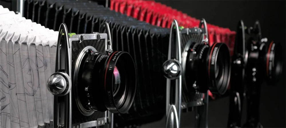 Migliorare la visibilita del brand - Caso studio Gibellini Camera case study gibellini