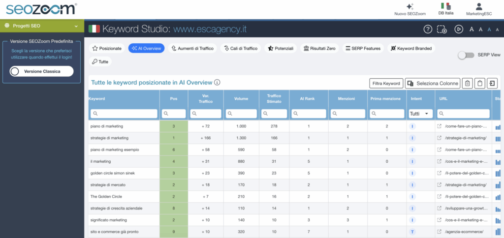 esc-agency-result-ai-overview-seo-zoom