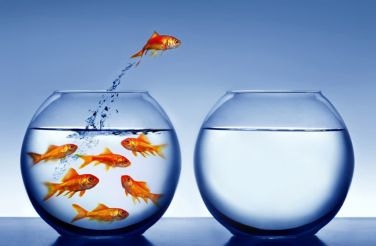 3 motivi per esternalizzare le tue attività di marketing adattamento digitale 1 3821895d