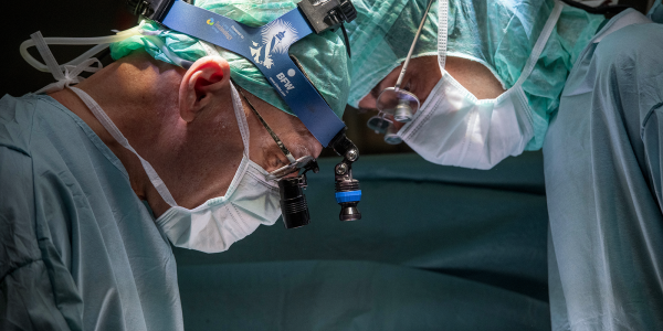 Caso Studio Champion: persone, valori e cultura d'impresa Marketing Case Study Hesperia Hospital 7a4467ab