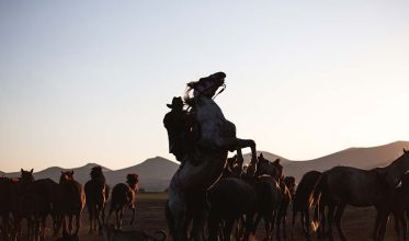 HubSpot Sales Hub AI: gli strumenti che trasformano il lavoro del team commerciale cavallo imbizzarrito a30e20b3